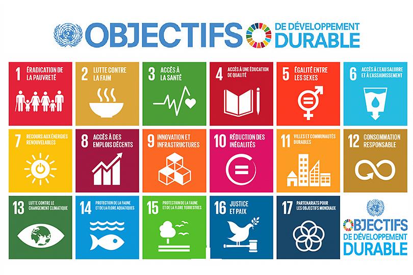 La représentation des 17 objectifs de développement durable